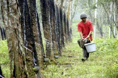 O "super poder" de um pedaço de borracha, detalhe sobre o tipo de borracha e as propriedades básicas!